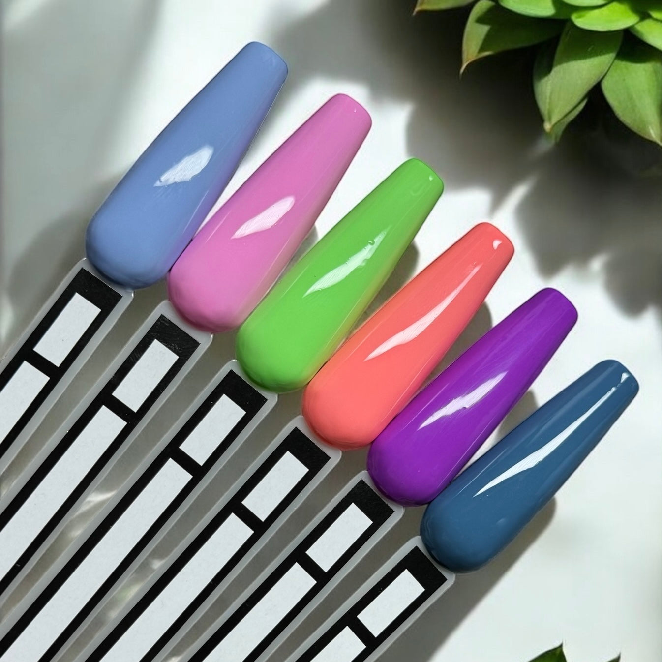 Gel Polish