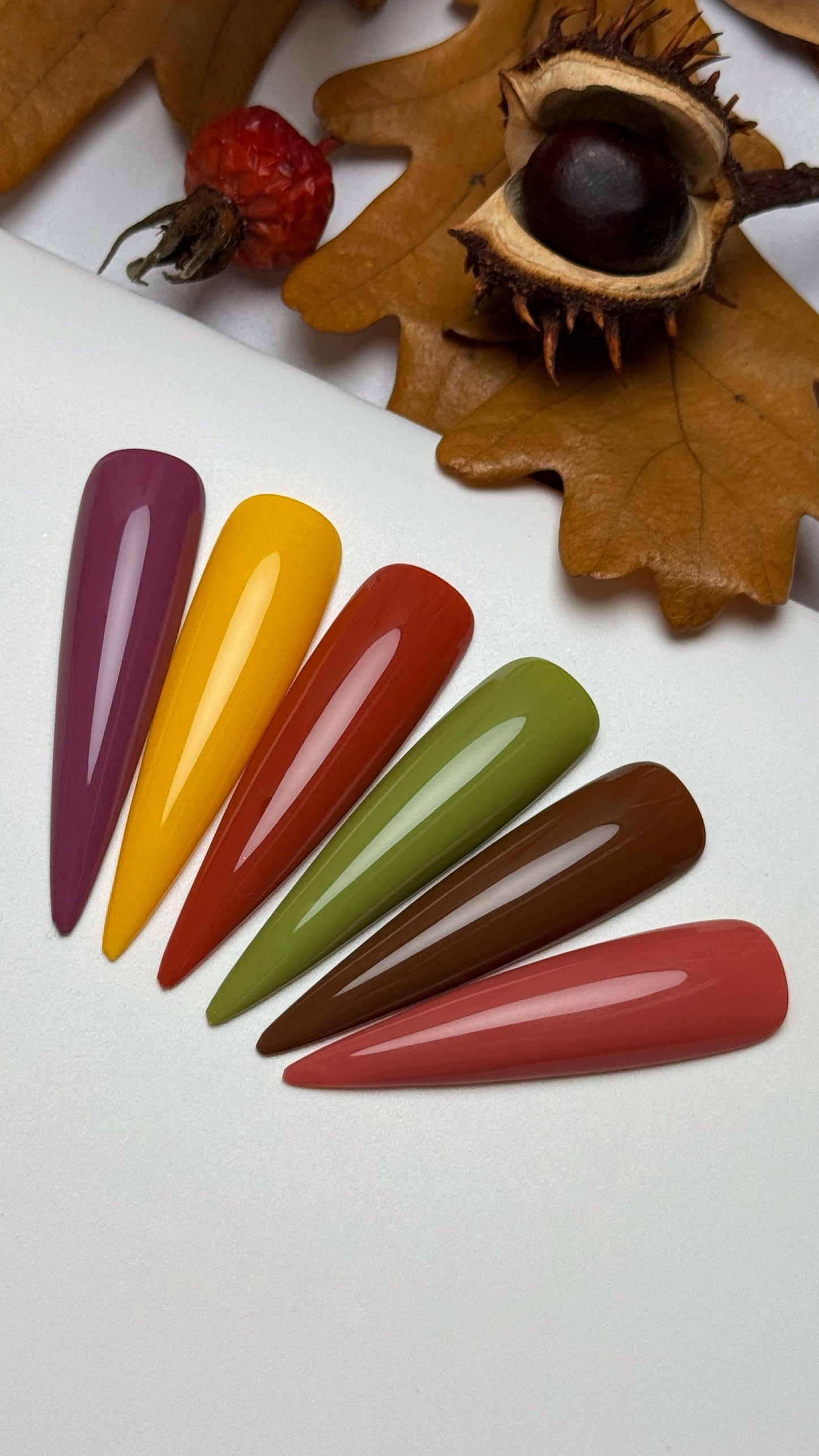 Autumn Mood, Gel Polish